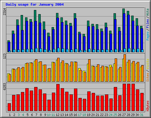 Daily usage for January 2004
