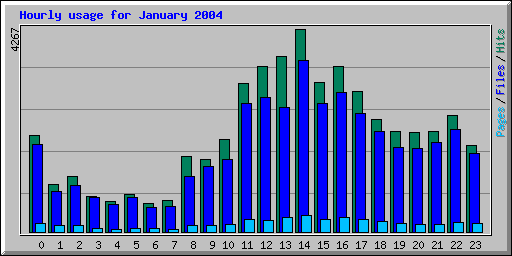 Hourly usage for January 2004